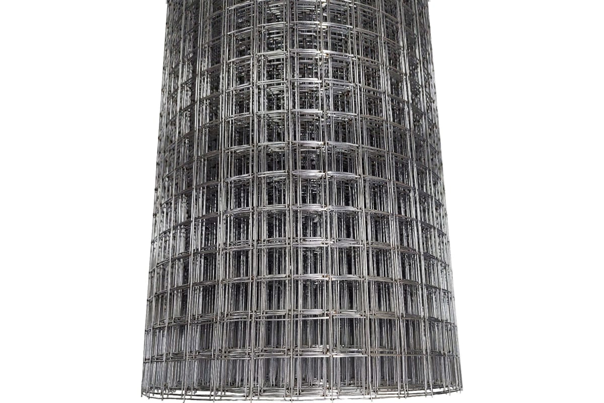 153439517.jpg