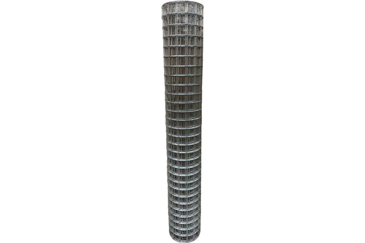 67998103.jpg